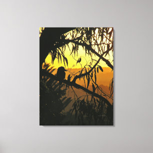 Australischer Sonnenuntergang Kookaburra Silhouett Leinwanddruck