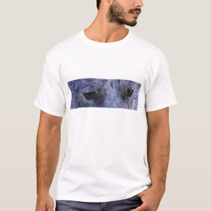 Australischer Stumpy-Taille-Rinderhund Blaues Auge T-Shirt