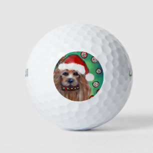 AUSTRALISCHER TERRIER GOLFBALL