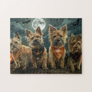 Australischer Terrier Halloween Gruselig