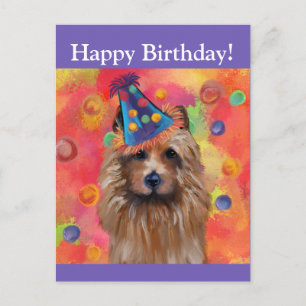 Australischer Terrier Postkarte