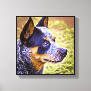 Australischer Treibhund - Hundeporträt Leinwanddruck