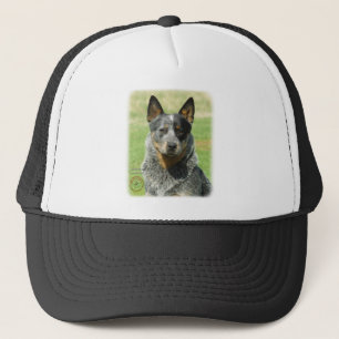 Australischer Vieh-Hund 9F061D-04_2 Truckerkappe