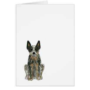 Australischer Vieh-Hundblaue Heeler Karte
