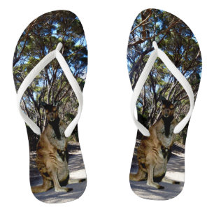 Australischer Wallaby auf der Straße, Flip Flops