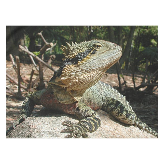 Australischer Wasser-Drache Tischdecke (Vorderseite (Horizontal))