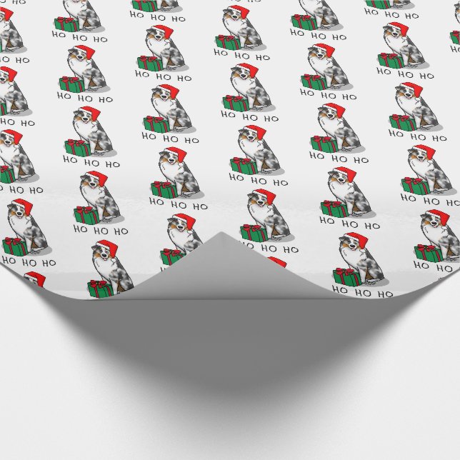 Australischer Weihnachtsschäfer (blauer Merle tan/ Geschenkpapier (Ecke)