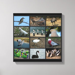 Australisches Birdwatchers Collage Leinwanddruck
