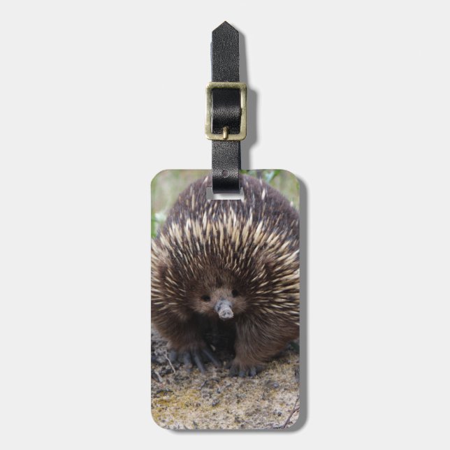 Australisches Echidna-Süße Tier-Foto Gepäckanhänger (Vorderseite vertikal)