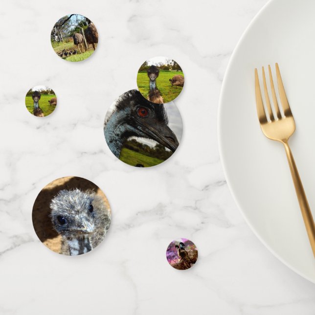 Australisches Emus, Geburtstisch Confetti Konfetti (Gruppe)