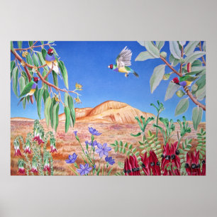 Australisches Hinterland Poster