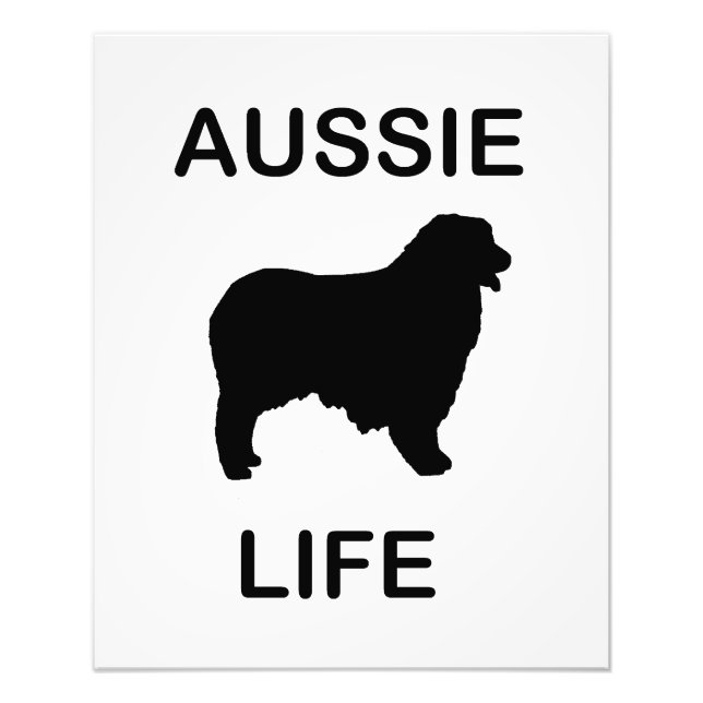 australisches Hirtenleben Fotodruck (Vorne)