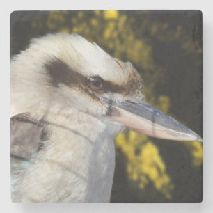 Australisches Lachen Das Kookaburra, Steinuntersetzer
