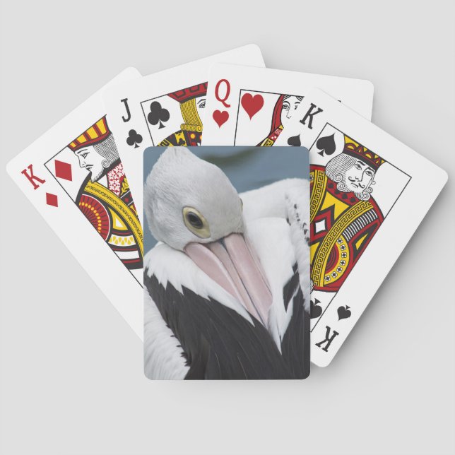 Australisches Pelikan nah Spielkarten (Rückseite)