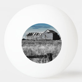 Australisches Relic Ping Pong Ball Tischtennisball