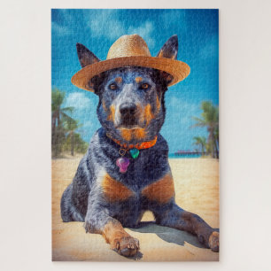 Australisches Rindvieh am Strand, Geschenk für Hun
