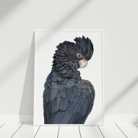 Australisches Schwarzes Cockatoo Illustration Post