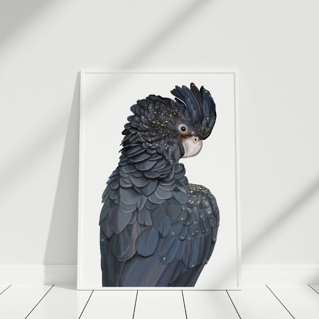 Australisches Schwarzschnabelposter Poster (Australian Red-Tailed Black Cockatoo Poster in white frame on white wooden floor.)