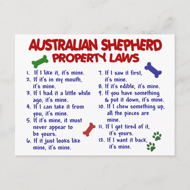 AUSTRALISCHES SHEPHERD-Eigentumsrecht 2 Postkarte (Vorderseite)