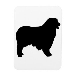 Australisches Shepherd-Silo Magnet