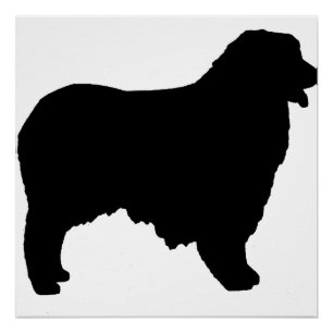 Australisches Shepherd-Silo Poster