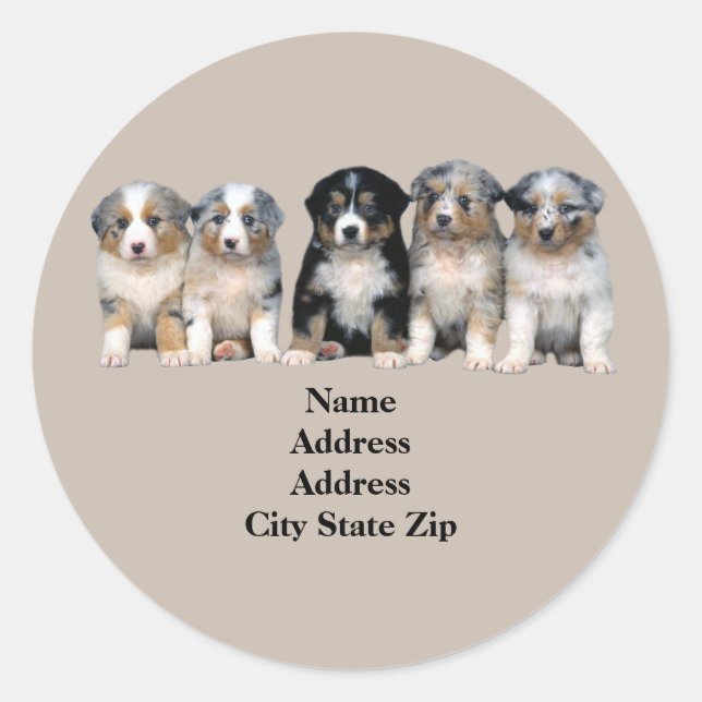 Australisches Shepherd Welppies Address Label Runder Aufkleber (Vorderseite)