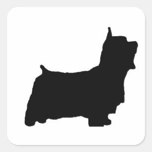 australisches_silky_terrier-Silo Quadratischer Aufkleber