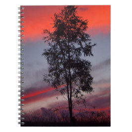 Australisches Stormy-Sunset-Notebook Notizblock