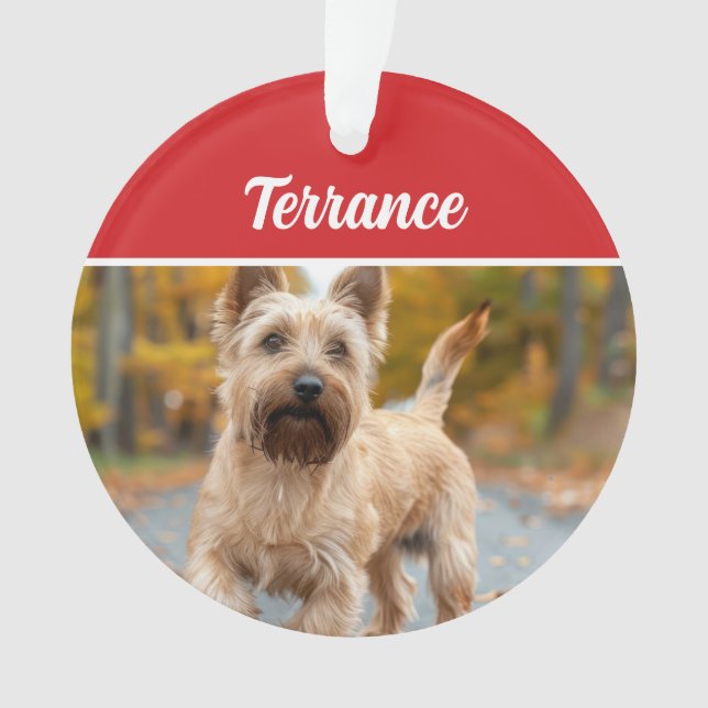 Australisches Terrier Dog Holiday Weihnachtsgebäck Ornament (Vorderseite)