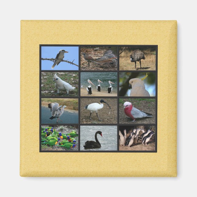 Australisches Vogelfoto-Collage Magnet (Vorne)