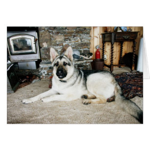 Australisches volles - Ansicht/Kamin