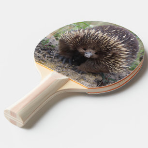 Australisches Wild-Echidna-Foto Tischtennis Schläger