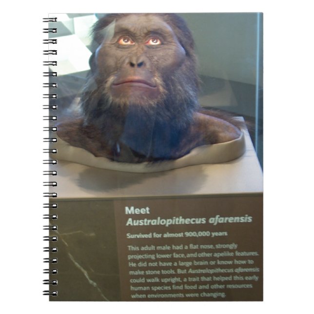 Australopithecus afarensis; Museumsausstellung Notizblock (Vorderseite)