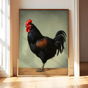 Australorp-Hühner-Kunstposter, Vintage-Vogel Poster
