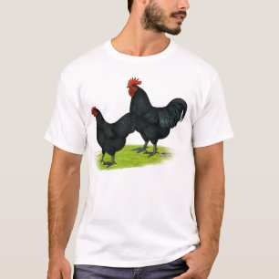 Australorp schwarze Hühner T-Shirt