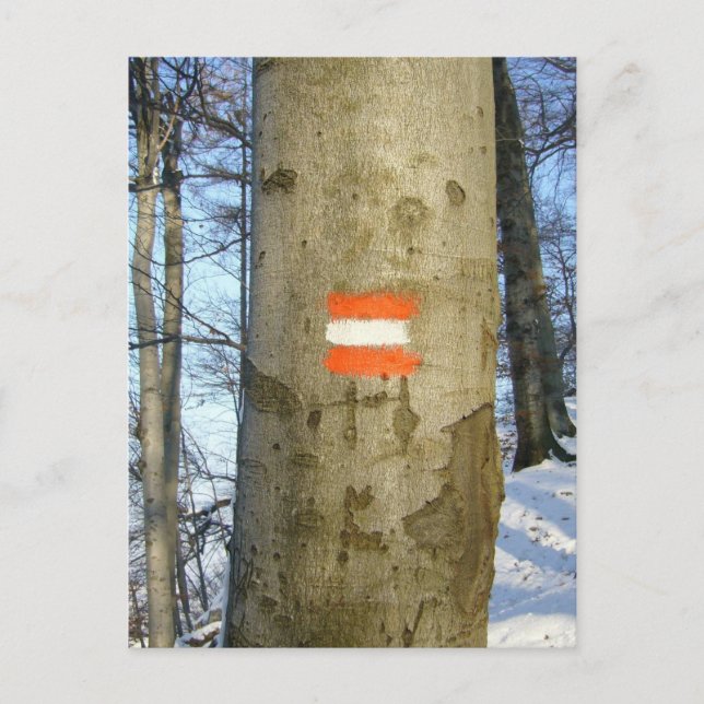 Austria-Fahne Postkarte (Vorderseite)