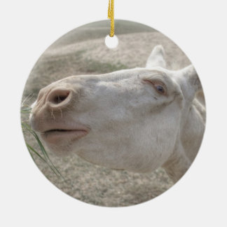 Austrian-Hungarian White Donkey Keramikornament