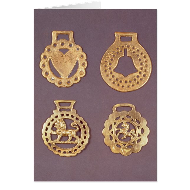 Auswahl des Pferdemessings (Vorne)