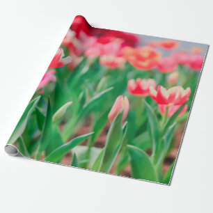 Auswahl Fokus, Phantastische Natur Schöne Aussicht Geschenkpapier