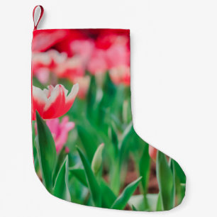 Auswahl Fokus, Phantastische Natur Schöne Aussicht Kleiner Weihnachtsstrumpf