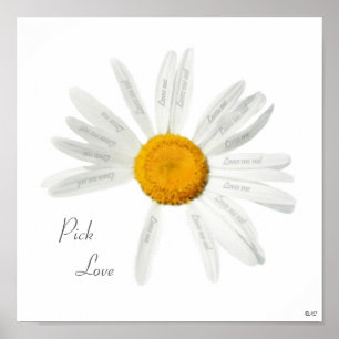 Auswahl-Liebe-Gänseblümchen Poster