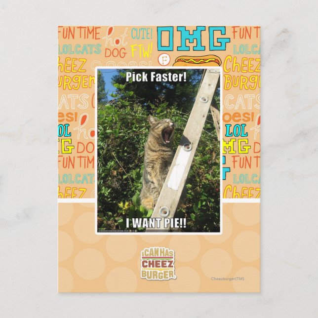 Auswahl schneller! postkarte (Vorderseite)