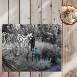 Auswahlhilfe für das Besucherpuzzle des Blauen Gar