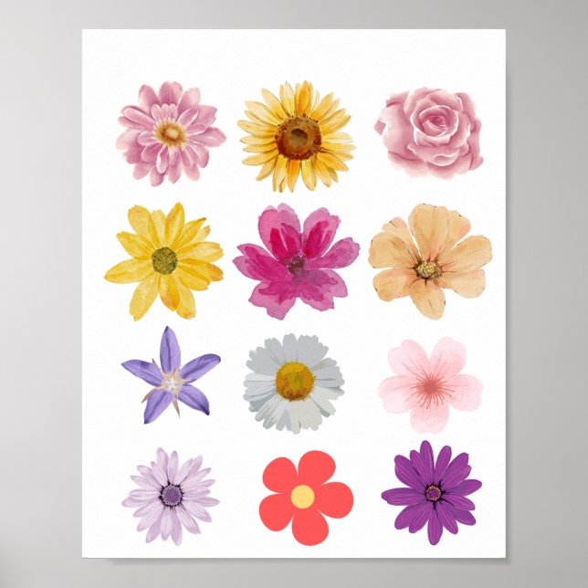 AUSWAHLPOSTER FÜR BLUME POSTER (Vorne)