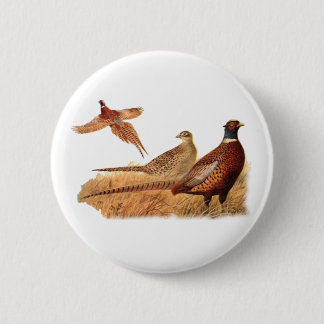 Ausweichende Fasan-Vogel-Jagd Button