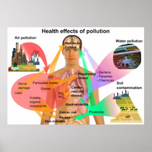 Auswirkungen der Verschmutzung auf die Gesundheit  Poster