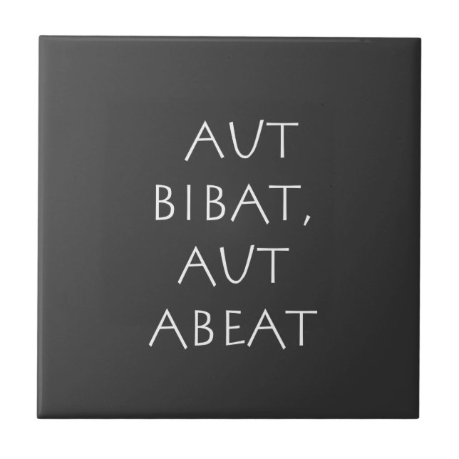 Aut Bibat aut abeat Fliese (Vorderseite)