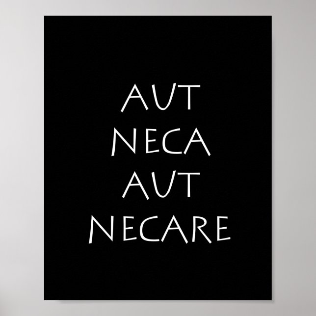 Aut neca aut necare poster (Vorne)