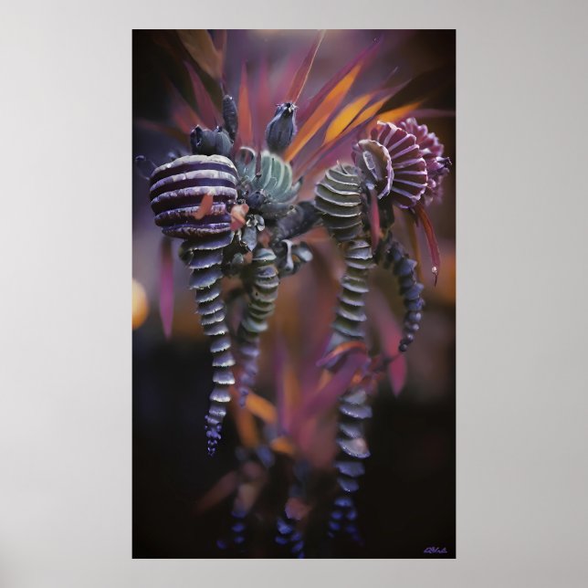 Auténtico Poster (Vorne)