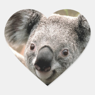 Auto-Koala-Collant Herz-Aufkleber